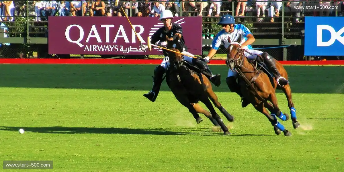 内容构建方式呈现更高灵活性